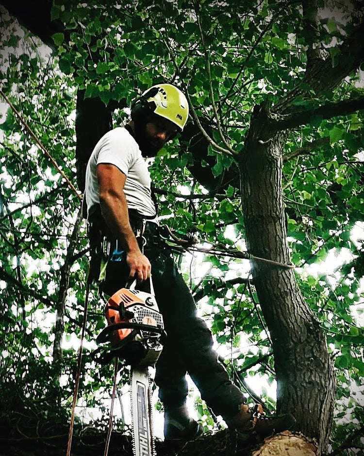 Lumber Joe Tree Services